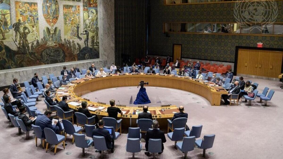 A view of the Security Council.